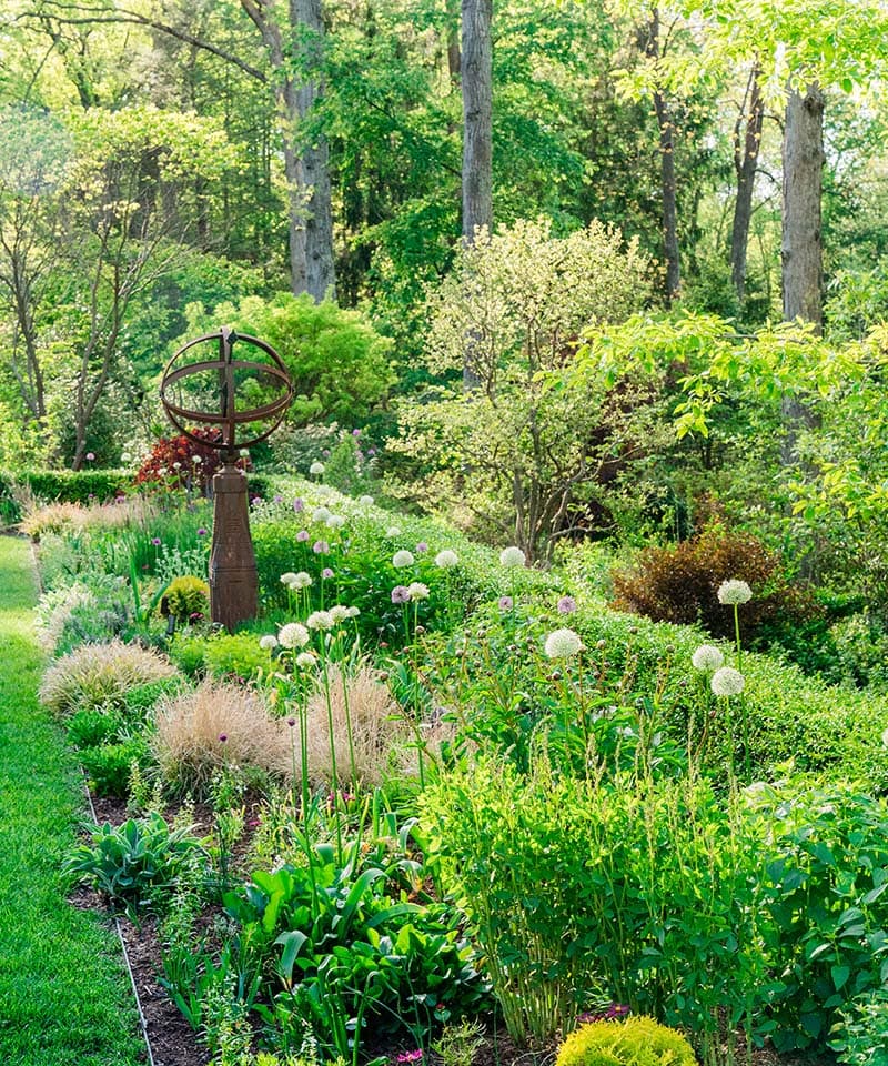 Green garden with many types of flowers, shrubs and trees