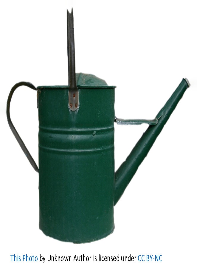 Old green watering can